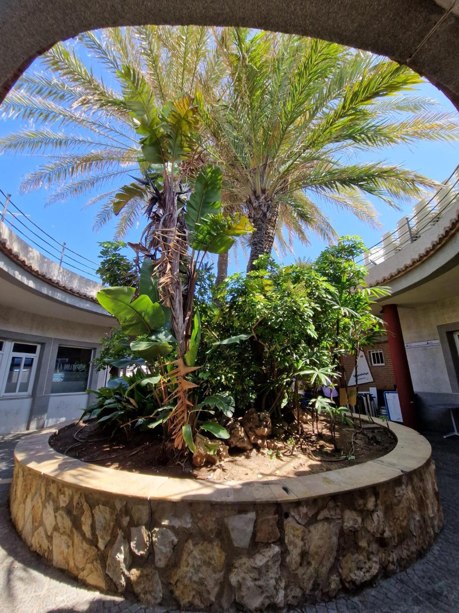 Apartamento Barbacoa, Piscina Y Playa Puebla de Farnals Kültér fotó