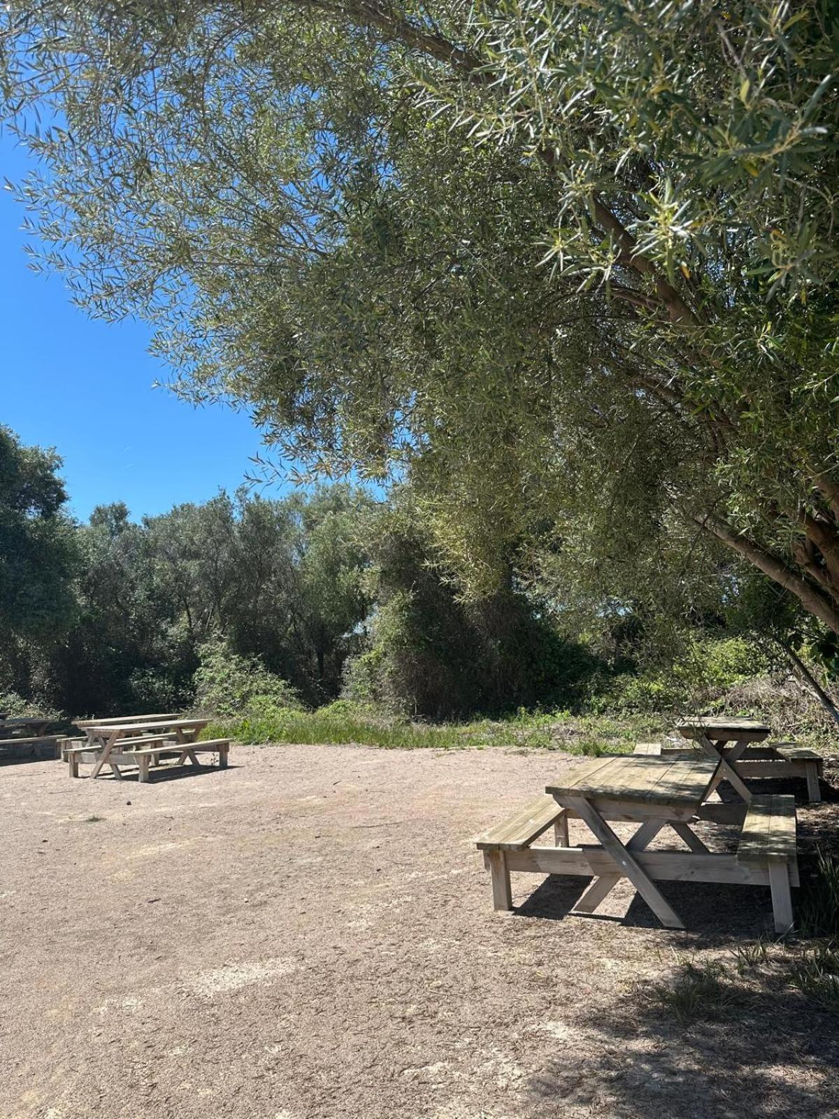 Apartamento Barbacoa, Piscina Y Playa Puebla de Farnals Kültér fotó